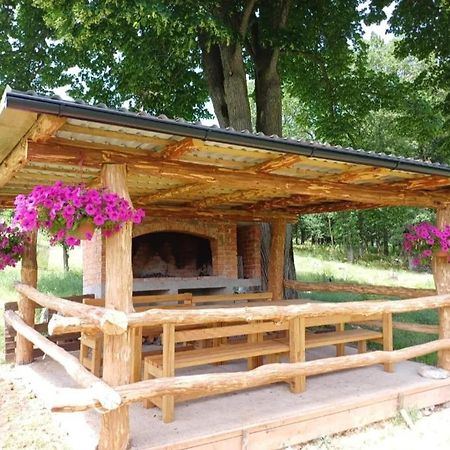 Farma & Apartmani II Opg Sasa Delic Grabusic 외부 사진