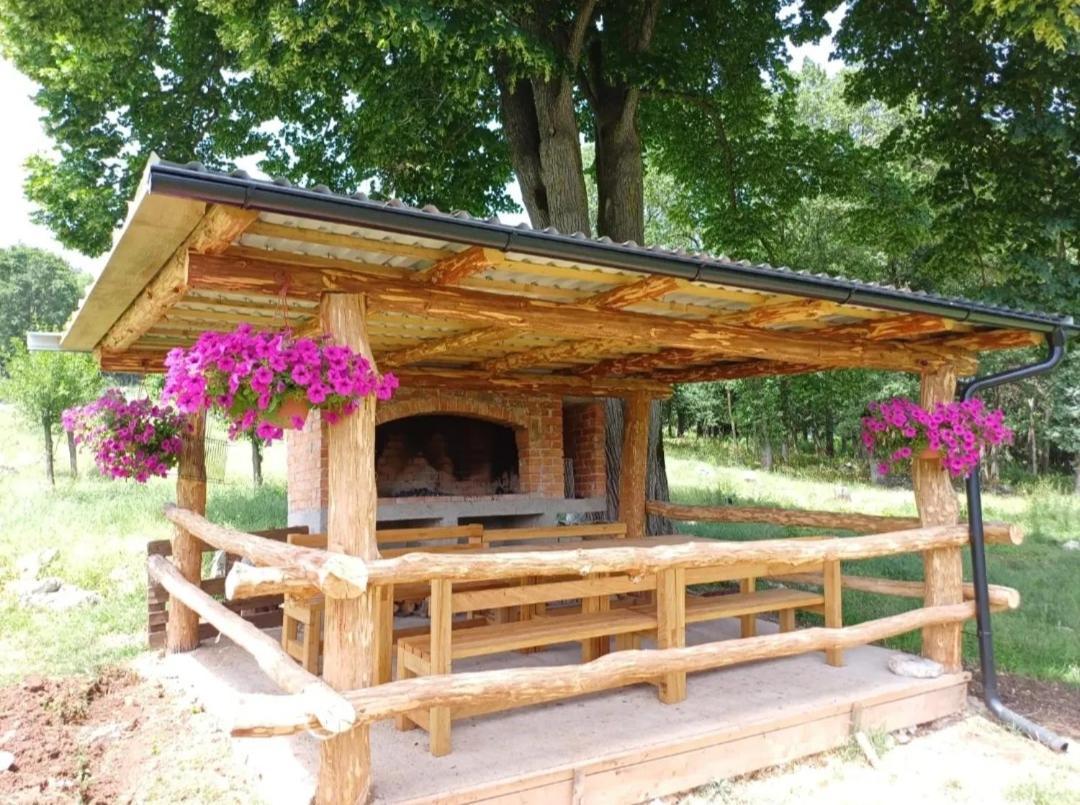 Farma & Apartmani II Opg Sasa Delic Grabusic 외부 사진